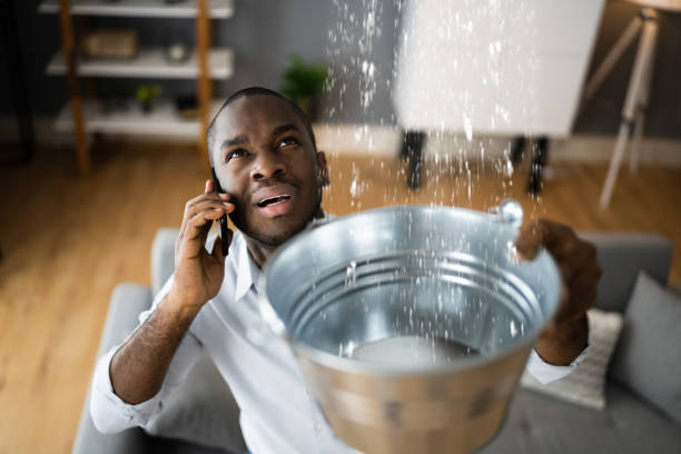  Frankton, IN Water damage restoration Pros