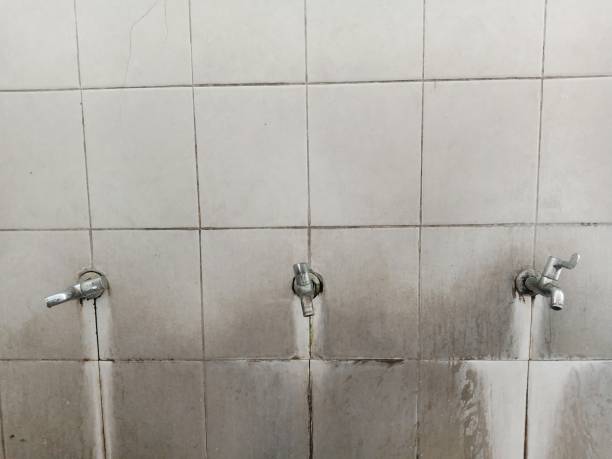 Best Carpet water damage restoration  in Frankton, IN