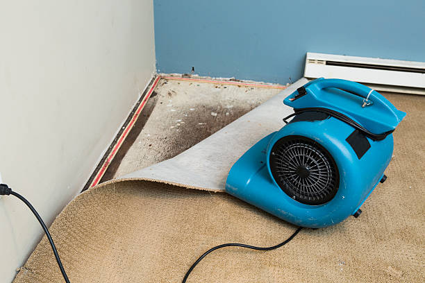 Best Fire Damage Restoration  in Frankton, IN